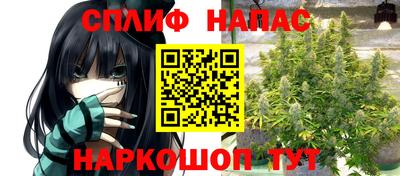 гидропоника Гусь-Хрустальный