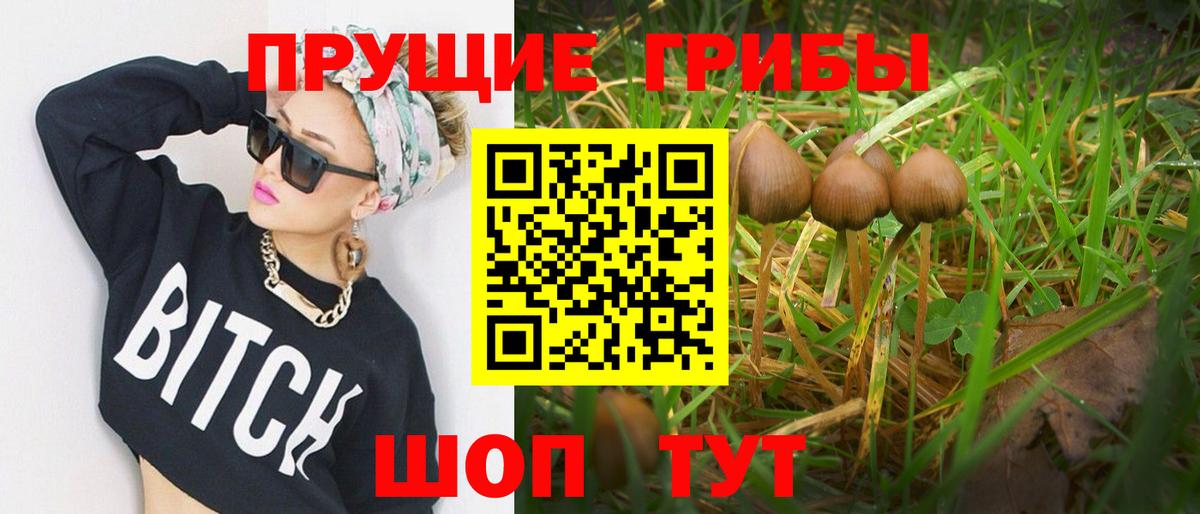 Галлюциногенные грибы Magic Shrooms Елизово